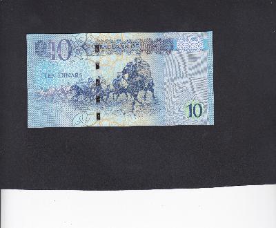 Beschrijving achterzijde: HORSES